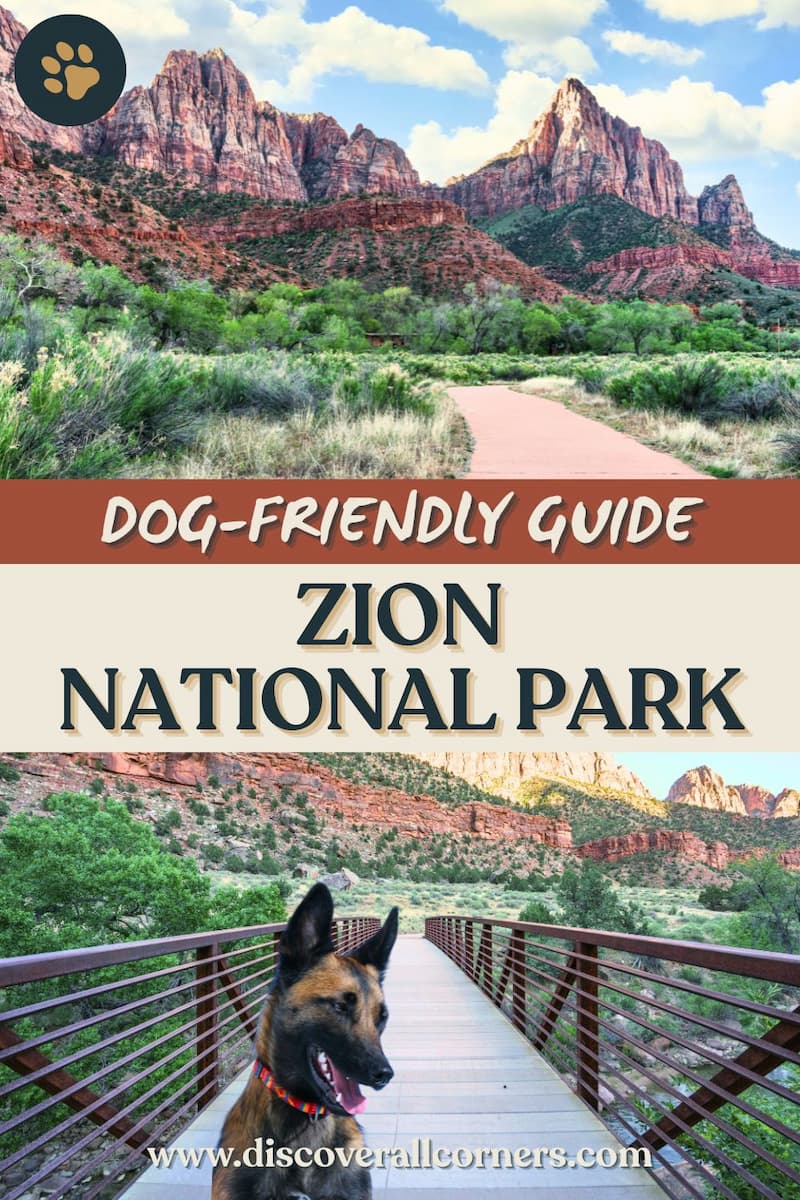 Pa’rus Trail in Zion National Park with paved path, Watchman Mountain views, red rock cliffs, and a bridge over the Virgin River with a dog on it. Text overlay - Dog-friendly guide - Zion National Park.