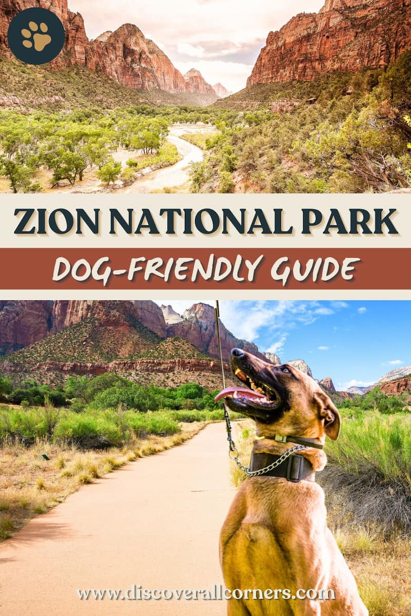 Zion Canyon view with the Virgin River and trees in the valley, and the paved Pa’rus Trail with red rock cliffs and a dog in Zion National Park, Utah. Text overlay - Zion National Park - dog-friendly guide.