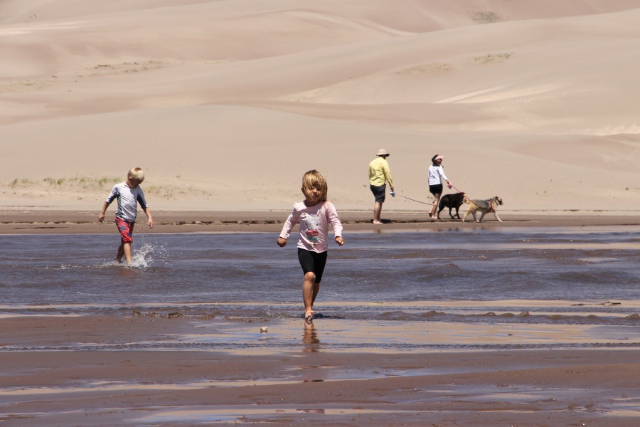 Kids and visitors with dogs enjoying Medano Creek near the dune base.