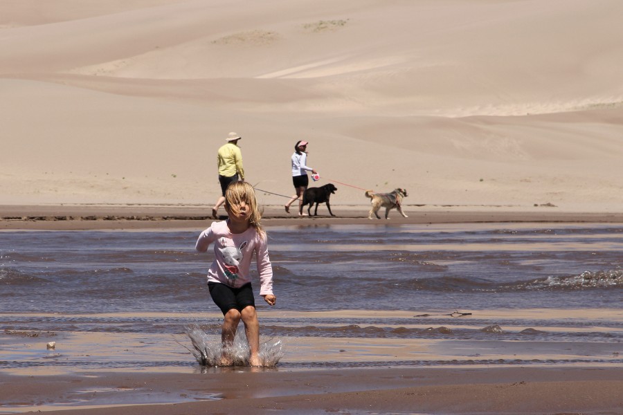 Visitors with dogs enjoying Medano Creek near the dunes.