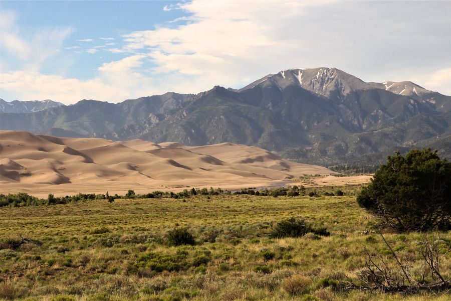 Sweeping sand dunes with mountains in the background and green valley in the foreground in Great Sand Dunes National Park.