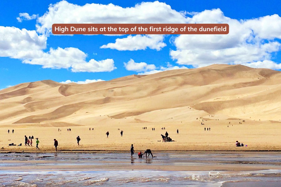 Dunes rising on the first ridge of the dunefield in Great Sand Dunes National Park, with visitors at its base and climbing the dunes, and seasonal Medano Creek flowing at its base. Text overlay - High Dune sits at the top of the first ridge of the dunefield