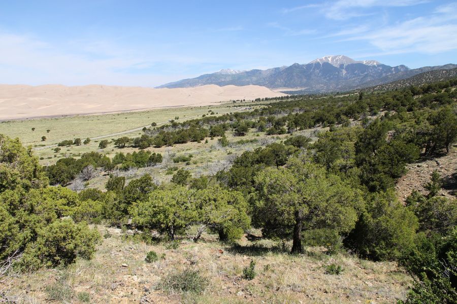 Elevated view of the dunefield from the Wellington Ditch Trail.