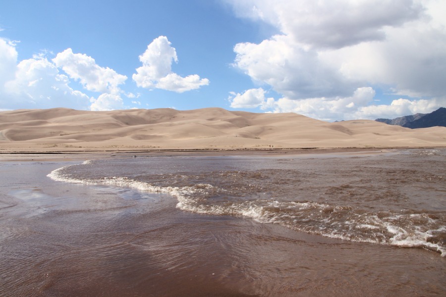 Surge flow waves moving through Medano Creek across sandy terrain, with the dunes rising in the background and blue sunny sky.