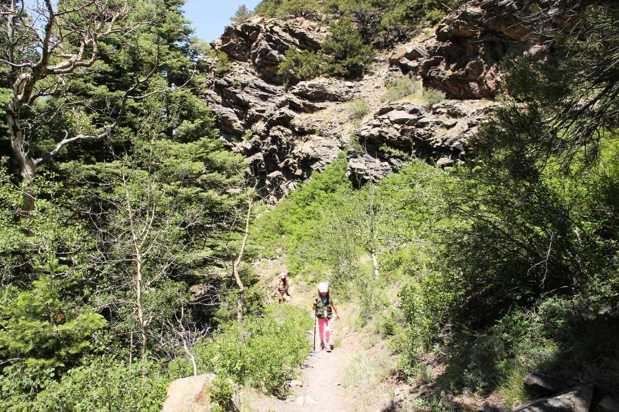 Family walking up a narrow sandy path along Mosca Pass Trail in Great Sand Dunes National Park, with forested views on both sides, and sculpted rock formations along the trail on the right side.