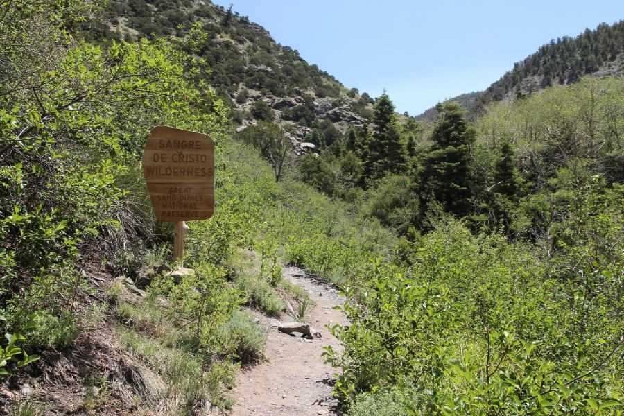 More open stretch of Mosca Pass Trail with a forested lush landscape all around.