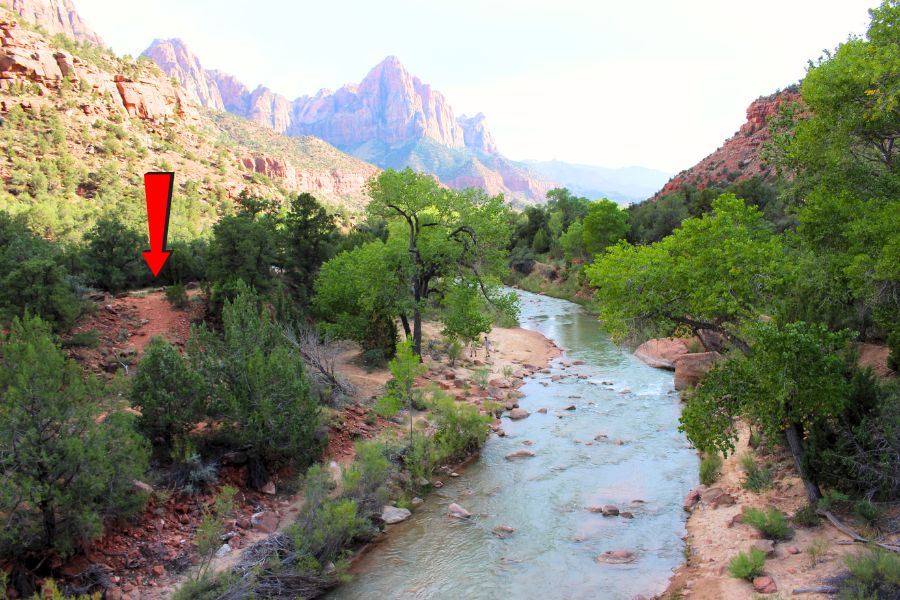Virgin River flowing through Zion Canyon with lush vegetation along both riverbanks and sculpted cliffs rising around, and an arrow pointing to the paved Pa'rus Trail along the river.