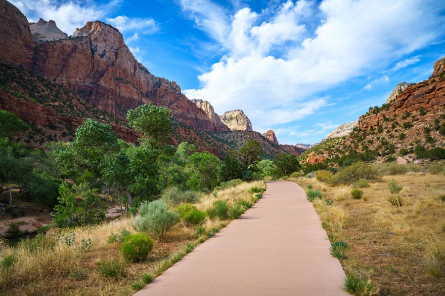 A paved dog-friendly trail in Zion National Park with trees around and canyons rising on both sides.