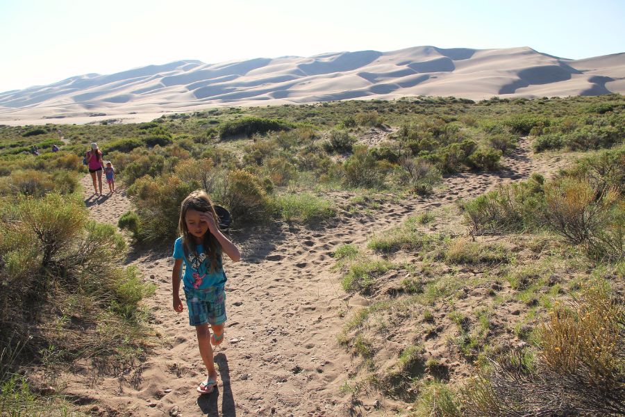 A family on a sandy path among green desert vegetation with tall dunes rising in the background.