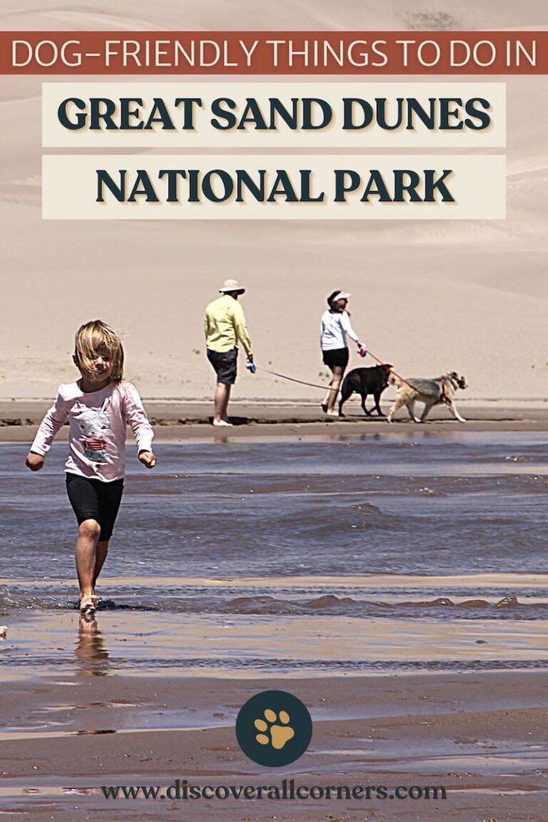Visitors and dogs of Great Sand Dunes National Park enjoying the shallow wide Medano Creek at the base of the dunefield, with the dunes rising just behind the creek. Text overlay - Dog-friendly things to do in Great Sand Dunes National Park.