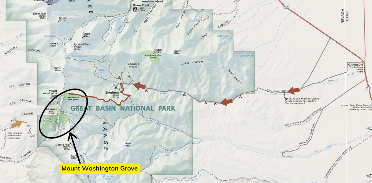 Map showing access routes to the Mount Washington bristlecone grove in Great Basin National Park, including the rough four-wheel-drive route front the east, and plus hiking access via Snake Creek from the east.