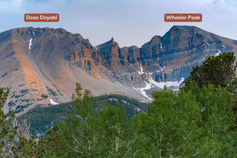 View of Wheeler Peak and Doso Doyabi in Great Basin National Park with snow-covered mountain slopes rising above alpine forest and a label for each peak.