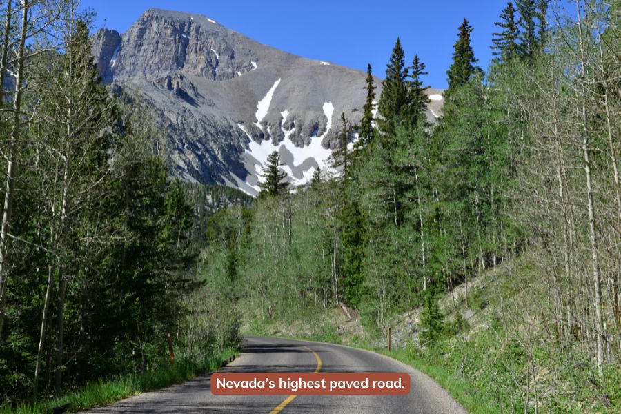 Wheeler Peak Scenic Drive climbing through alpine forest toward snow-covered mountains in Great Basin National Park.