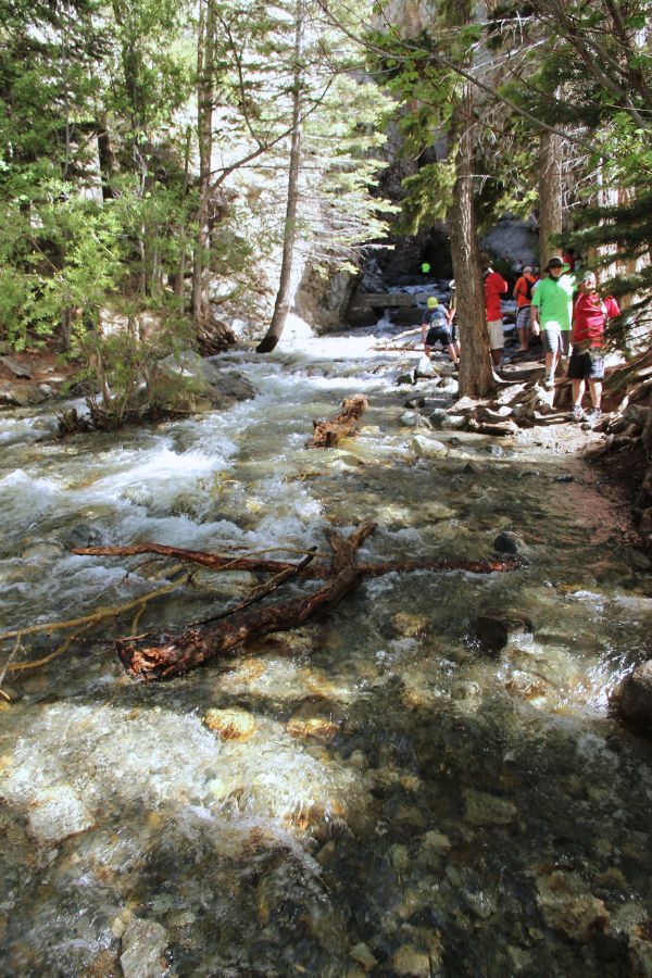 The rocky creek crossing, surrounded by trees, leading toward the hidden waterfall.