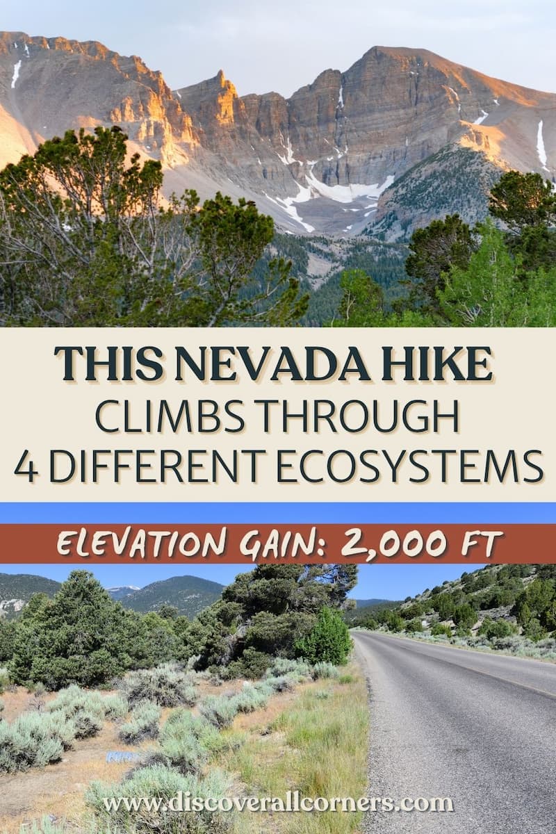 Collage showing two very different landscapes along the Lehman Creek Trail in Great Basin National Park, including close-up views of Wheeler Peak and the park's lower sagebrush-covered desert scenery. Text overlay - This Nevada hike climbs through 4 different ecosystems - Elevation gain 2,000 ft.