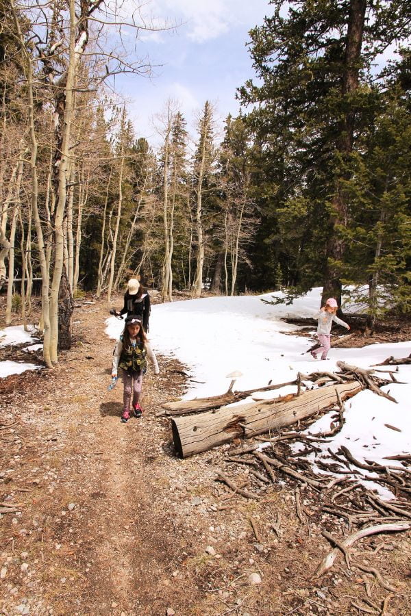 Family hiking through forest with alternating dry trail and snow-covered sections on the Lehman Creek Trail.