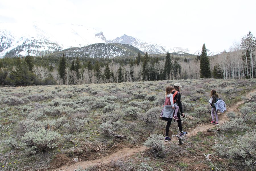 Family hiking through an open meadow on the Lehman Creek Trail with mountain views in the background.
