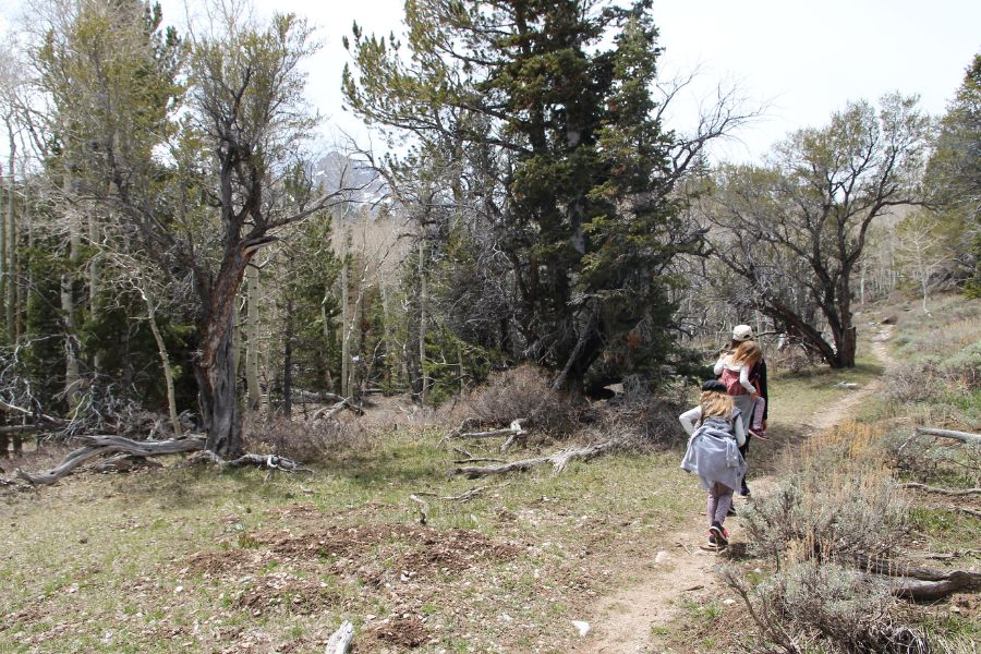 Family hiking uphill through a forested section of the trail.