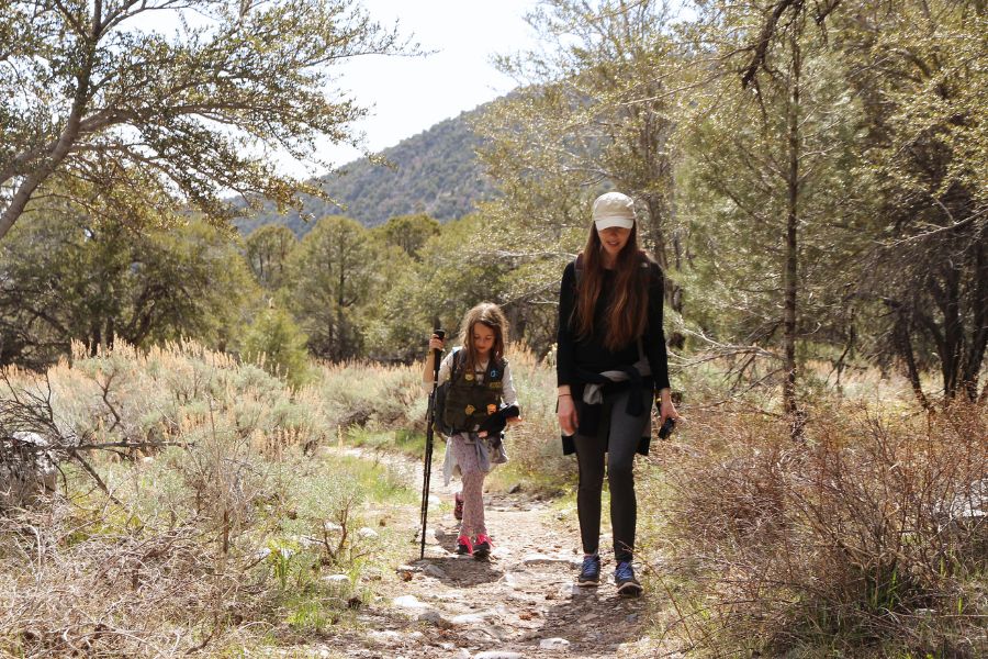 Mother and daughter hiking the lower section of the Lehman Creek Trail through desert vegetation and open forest in Great Basin National Park.