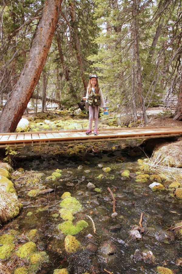 Child standing on a wooden bridge crossing Lehman Creek in a forested section of the trail.