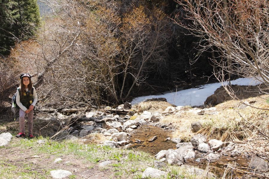Child standing on the Lehman Creek Trail beside a patch of lingering snow beneath trees in Great Basin National Park.