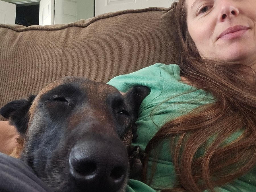 Handler and Belgian Malinois chilling out at home on the sofa